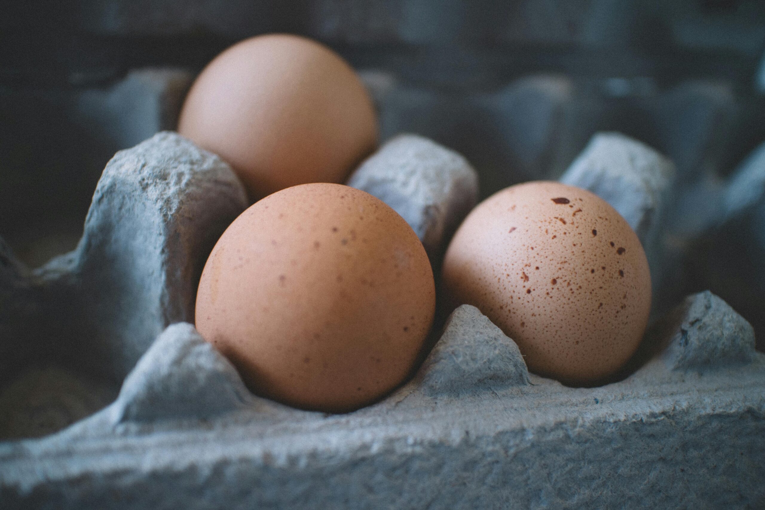 Easy No-Fail Whole Egg Mayonnaise