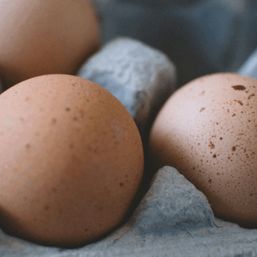 whole egg mayonnaise